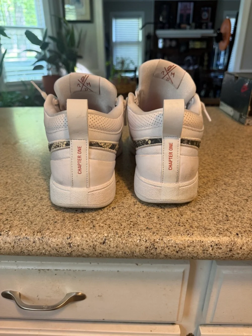 Book Chapter 1 “Rattlesnake” - Picture 3 of 6